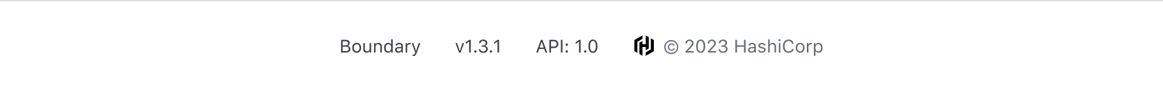 Example of the App Footer with plain text list items
